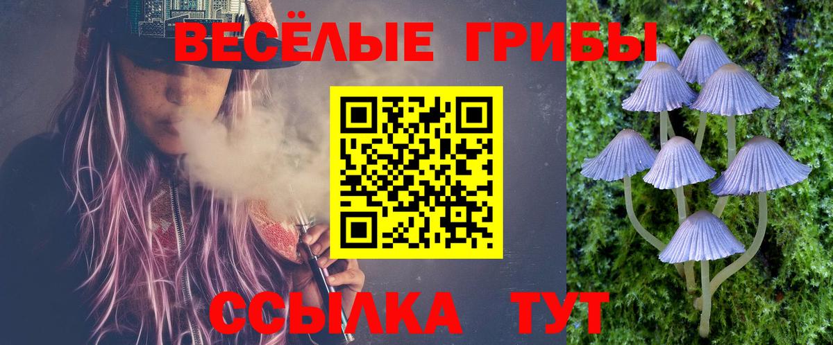 Псилоцибиновые грибы GOLDEN TEACHER Саранск