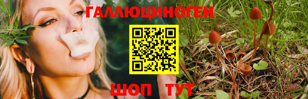 Cocaine  Вход с VPN  Марихуана  Меф МЯУ МЯУ   Где найти наркотики?  Саранск  Гашиш  ЭКСТАЗИ 