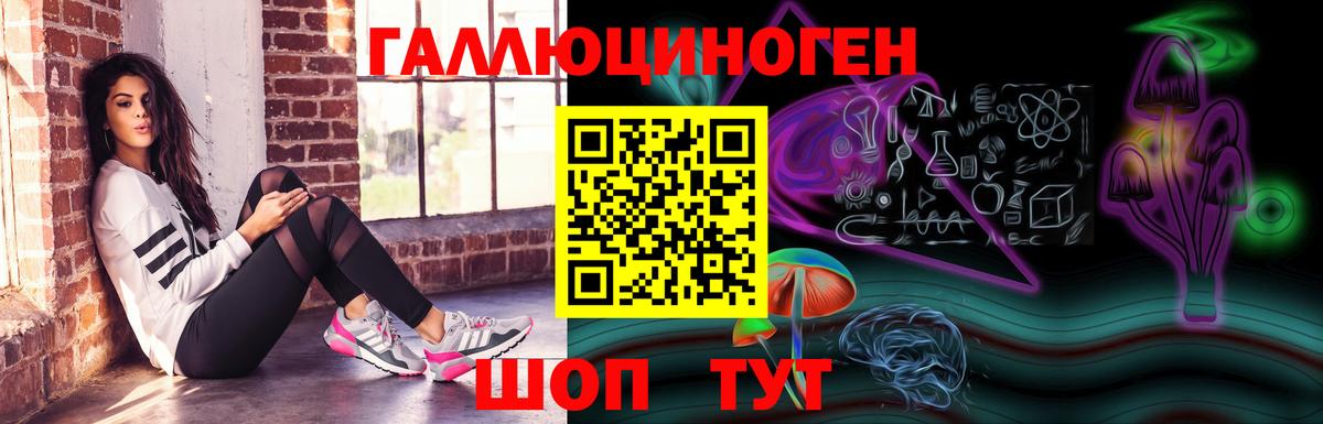 Псилоцибиновые грибы прущие грибы  Вход с VPN  Саранск  Псилоцибиновые грибы Psilocybine cubensis 